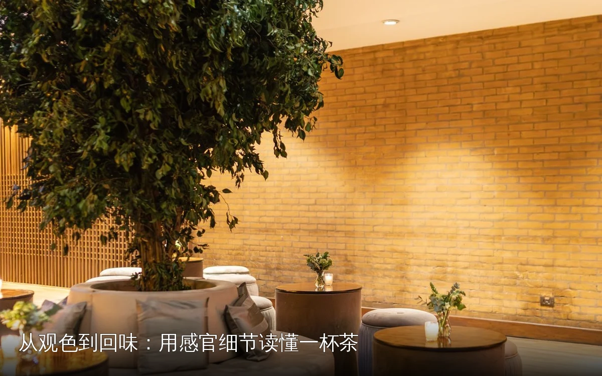 从观色到回味：用感官细节读懂一杯茶