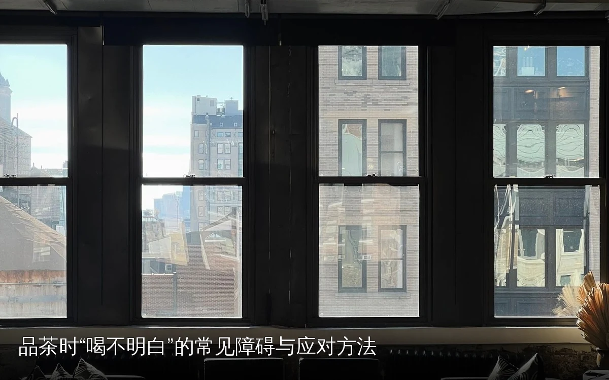 品茶时“喝不明白”的常见障碍与应对方法